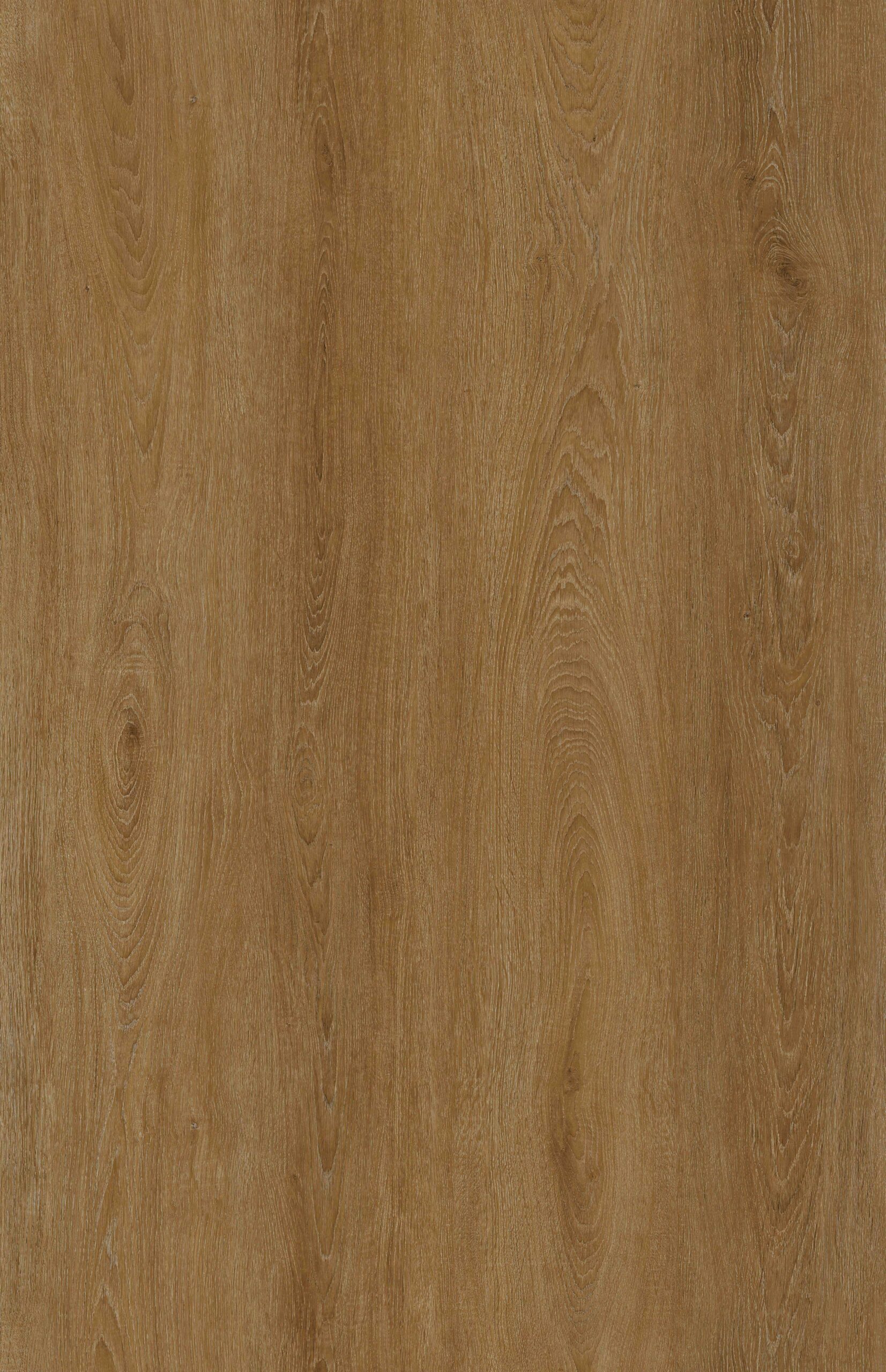 WP2027 Chestnut scaled