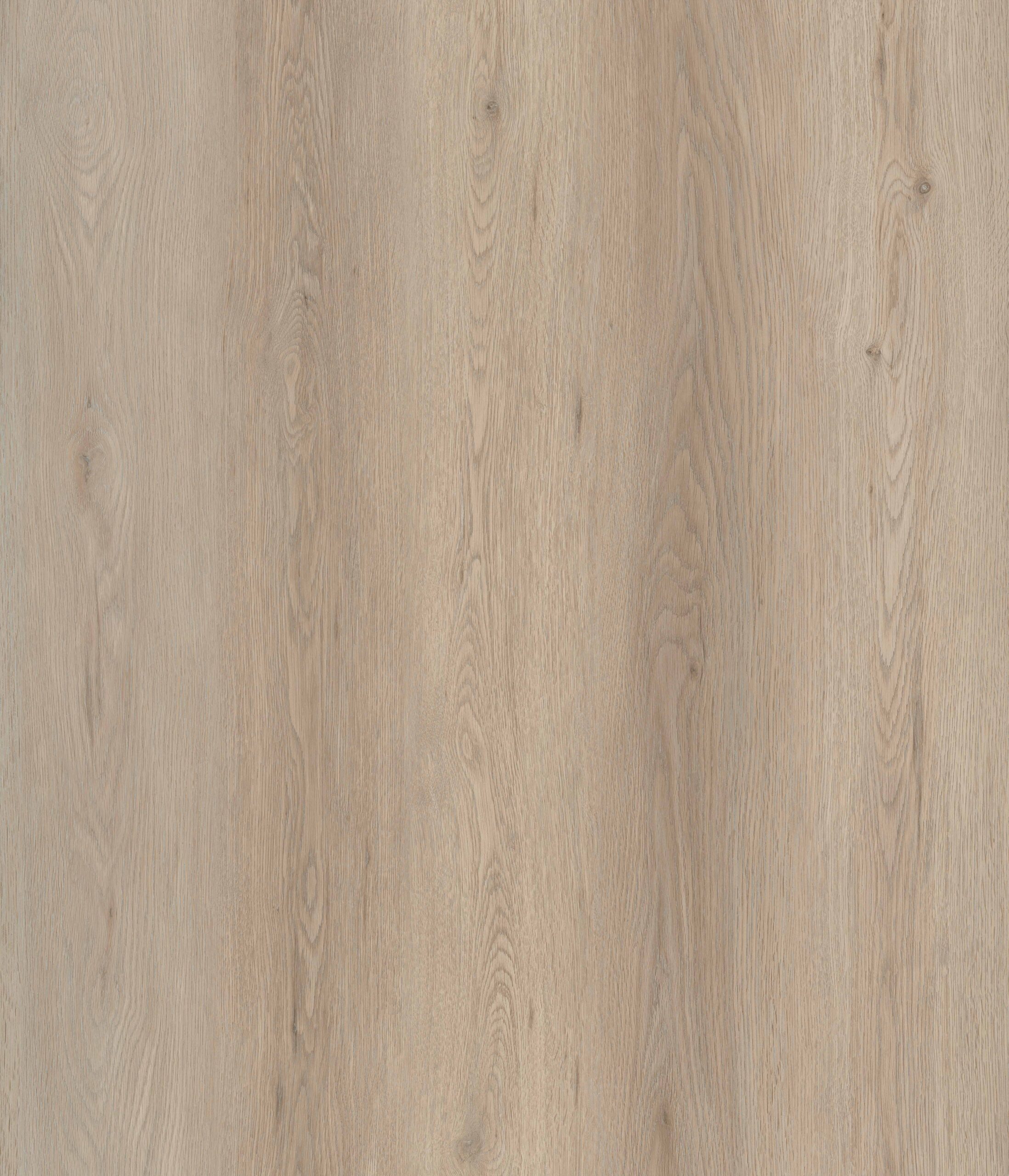 WP2028 Espresso Oak scaled